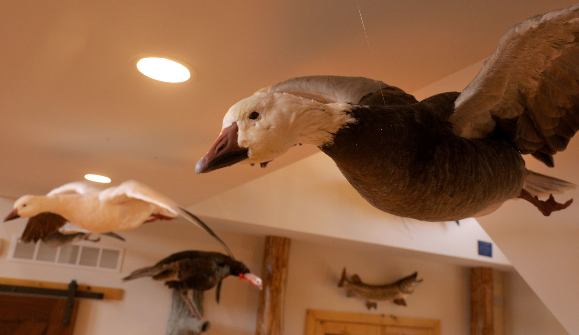 At Home with Scott and Johanna Schuessler in Pacific